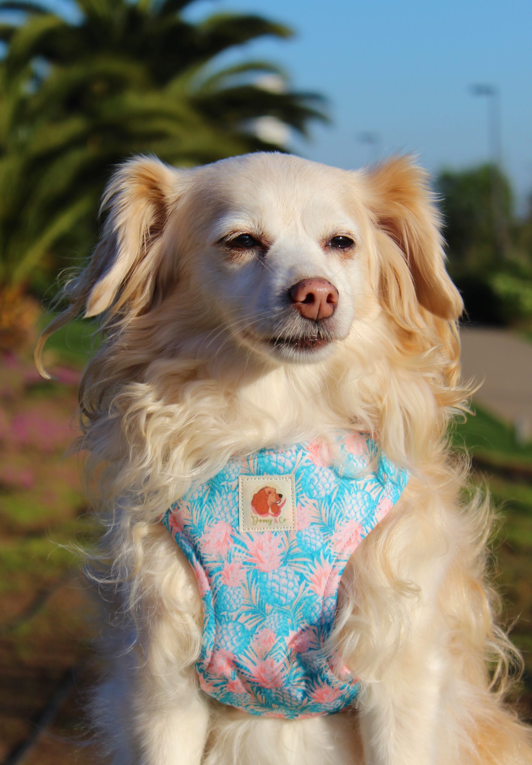 Arnés Piñas Calipso (Colección Impermeable) - Imagen 2