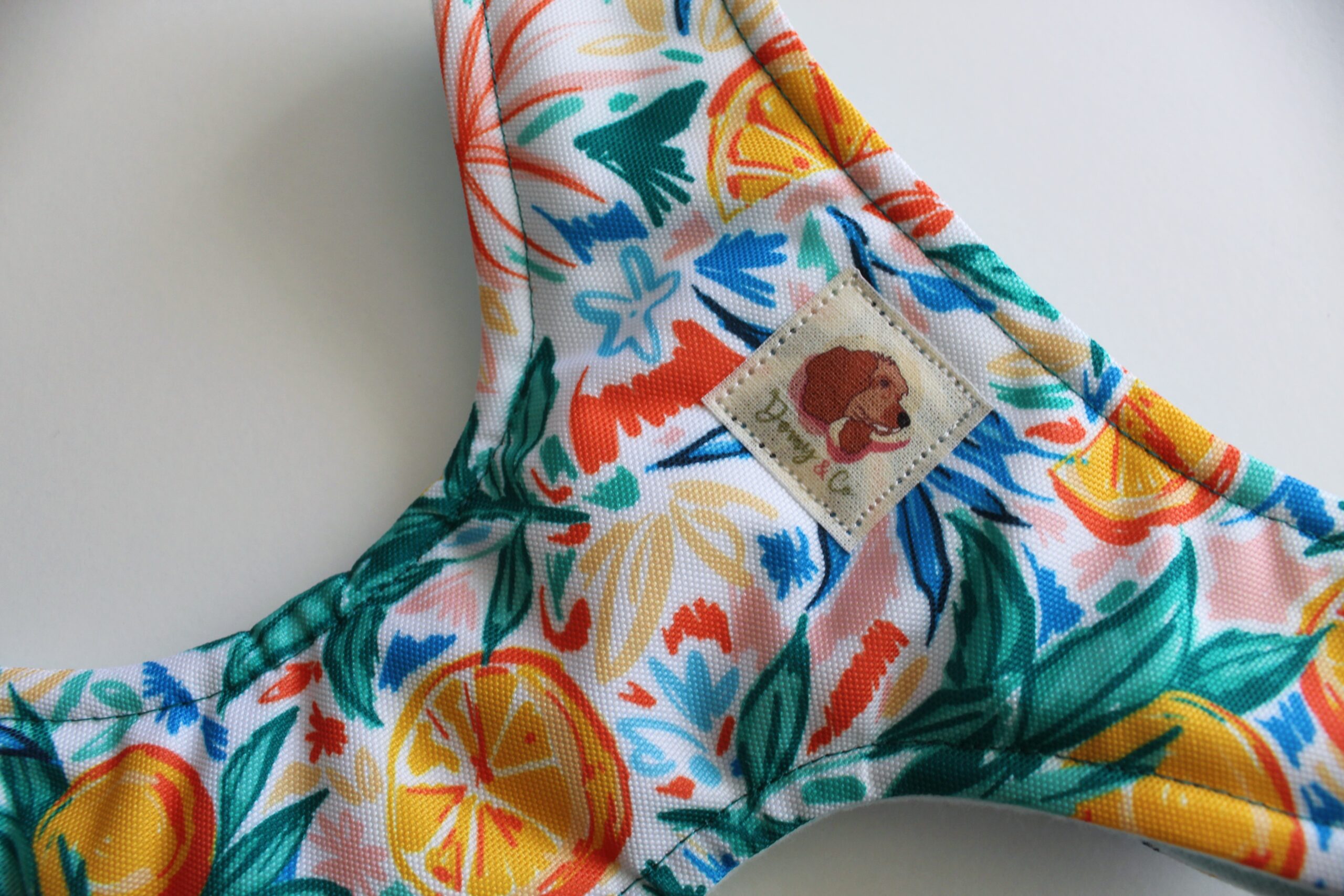 Arnés Naranjitas (Colección impermeable) - Imagen 4