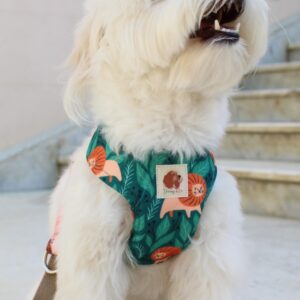 Arnés Leoncitos (Colección Impermeable)