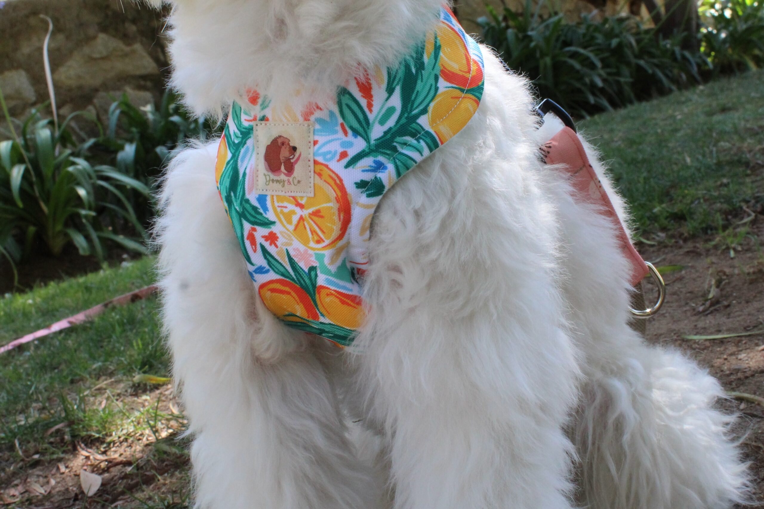 Arnés Naranjitas (Colección impermeable) - Imagen 2