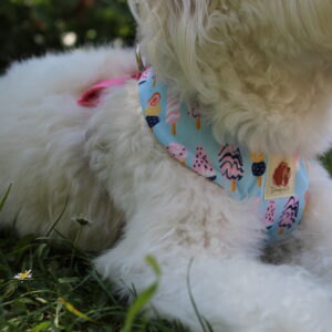 Arnés Paleta Helados (Colección impermeable)