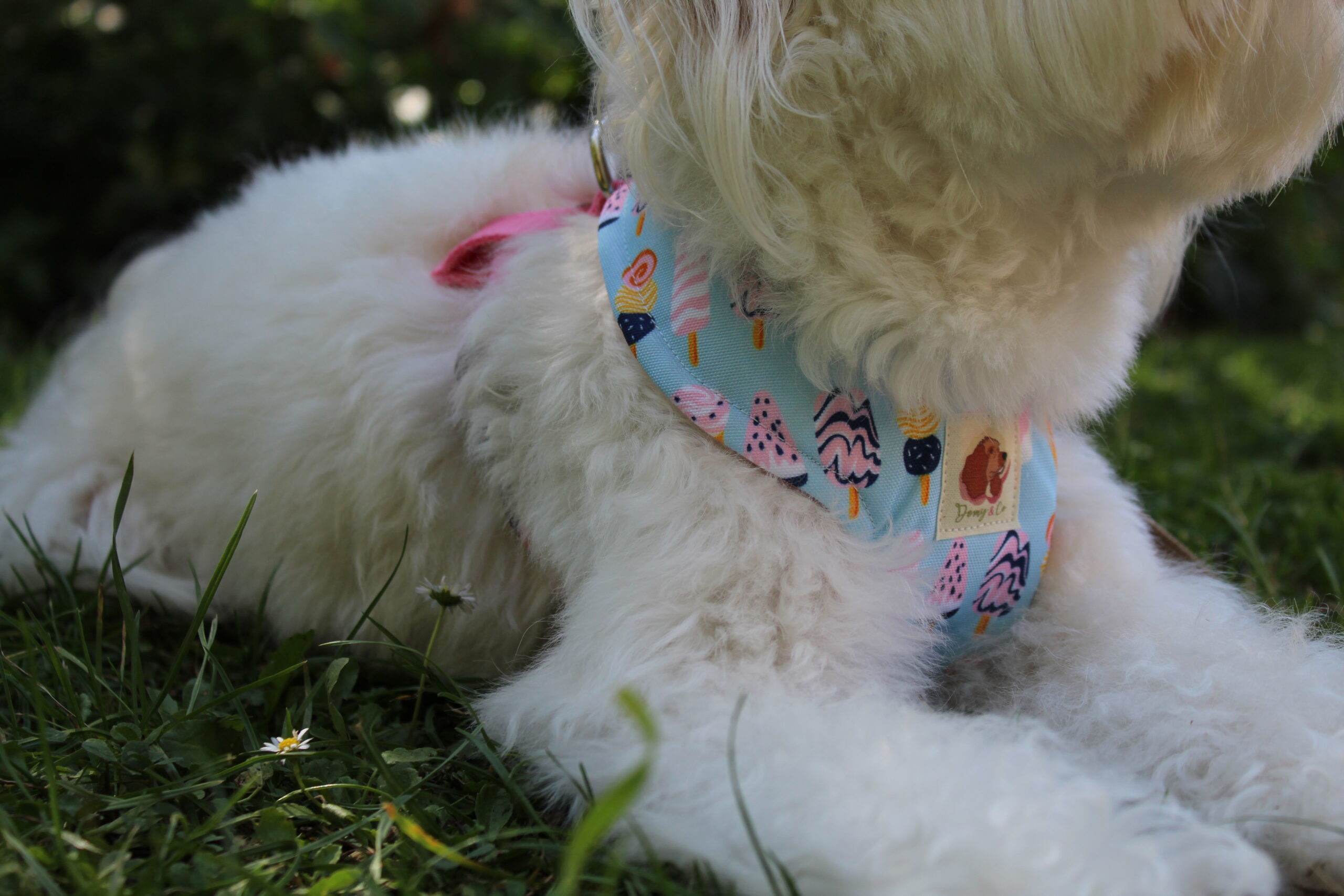 Arnés Paleta Helados (Colección impermeable) - Imagen 2